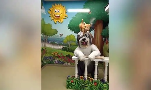 Pediatric dentist office